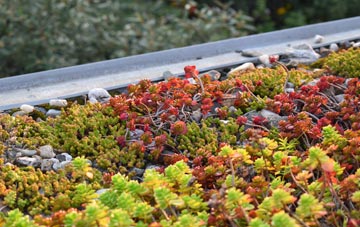 the cost of Blackford Bridge green roof installation