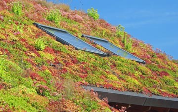 Blackford Bridge living roof systems